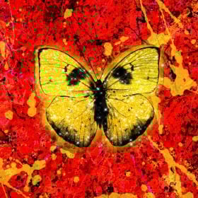 ED SHEERAN - SHIVERS